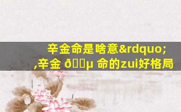 辛金命是啥意”,辛金 🌵 命的zui
好格局